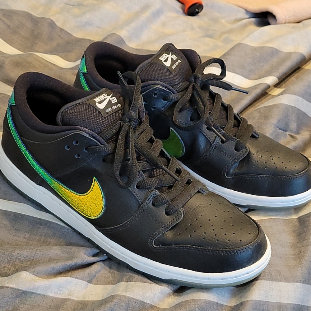 Nike SB Dunk Low Pro - "Oil Spill"